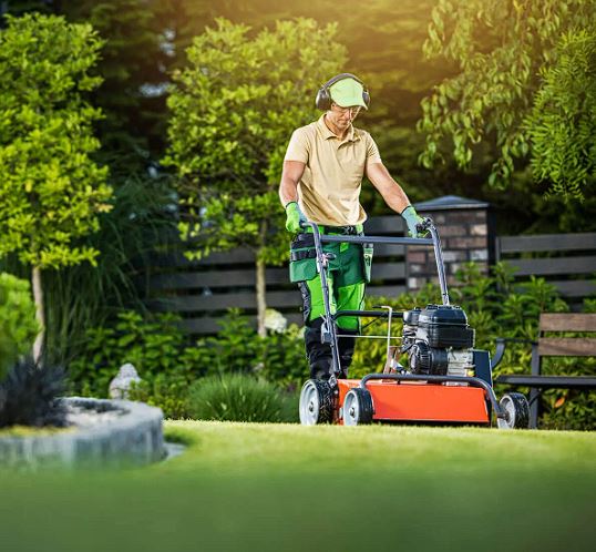 The Art and Expertise of Professional Scottsdale Landscaping